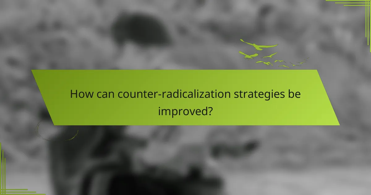 How can counter-radicalization strategies be improved?