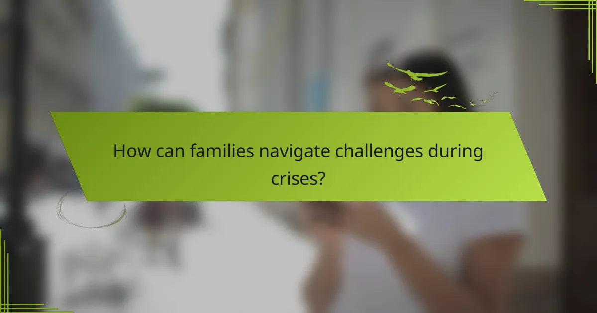 How can families navigate challenges during crises?