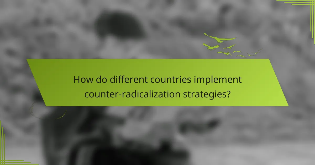 How do different countries implement counter-radicalization strategies?