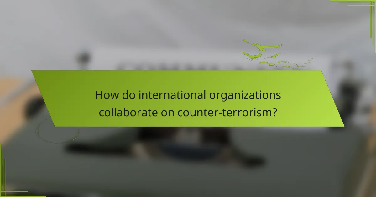 How do international organizations collaborate on counter-terrorism?