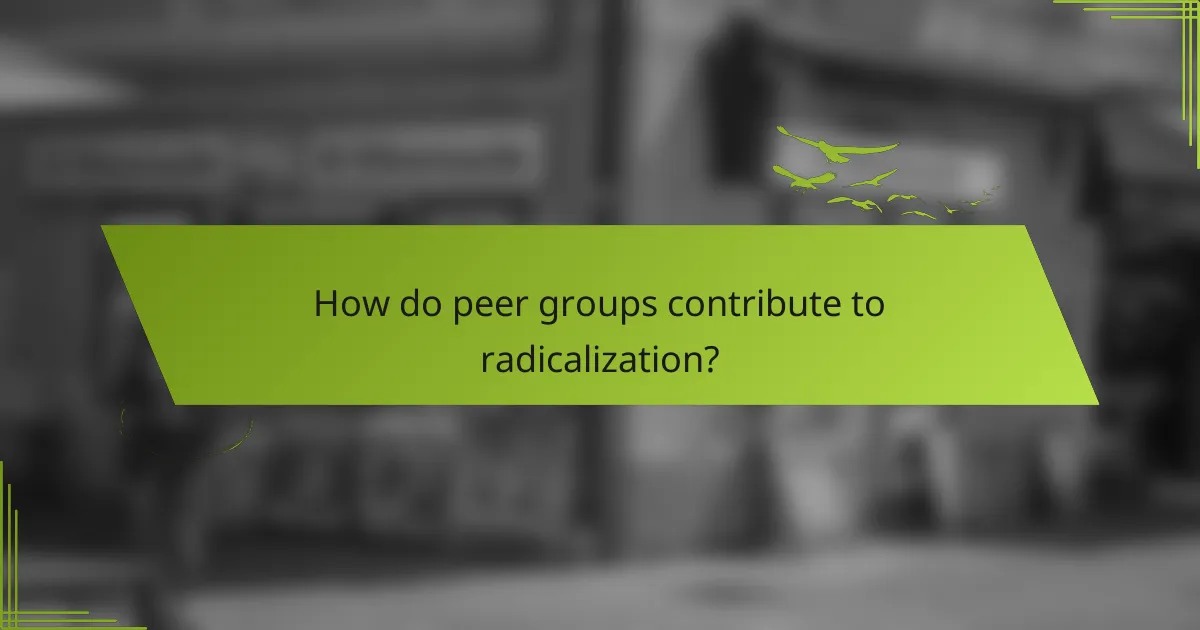 How do peer groups contribute to radicalization?