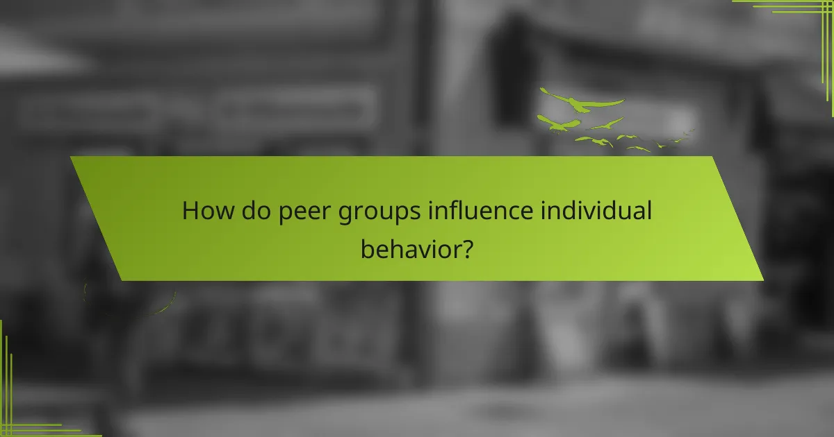 How do peer groups influence individual behavior?