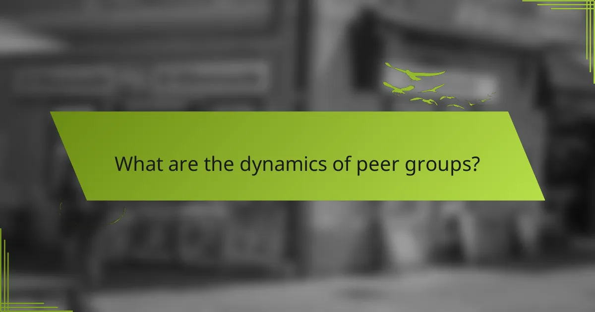 What are the dynamics of peer groups?