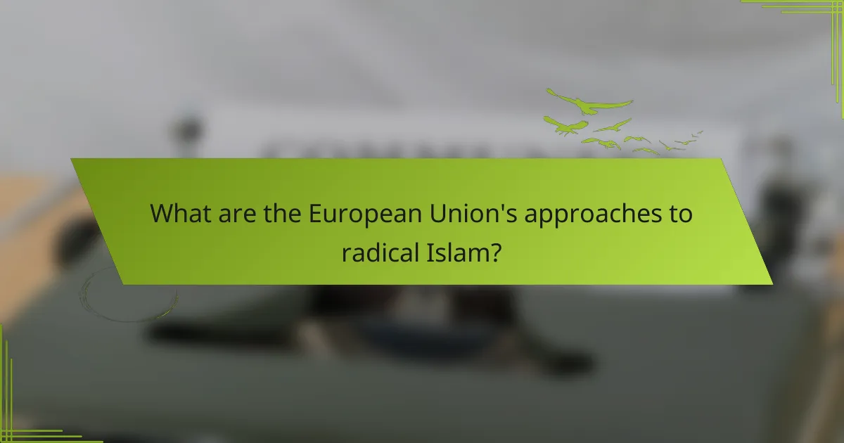 What are the European Union's approaches to radical Islam?