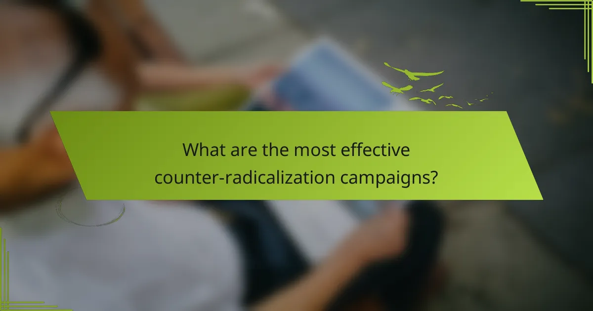 What are the most effective counter-radicalization campaigns?