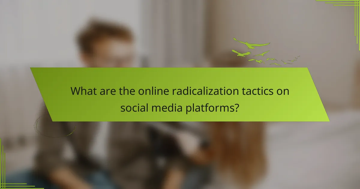 What are the online radicalization tactics on social media platforms?
