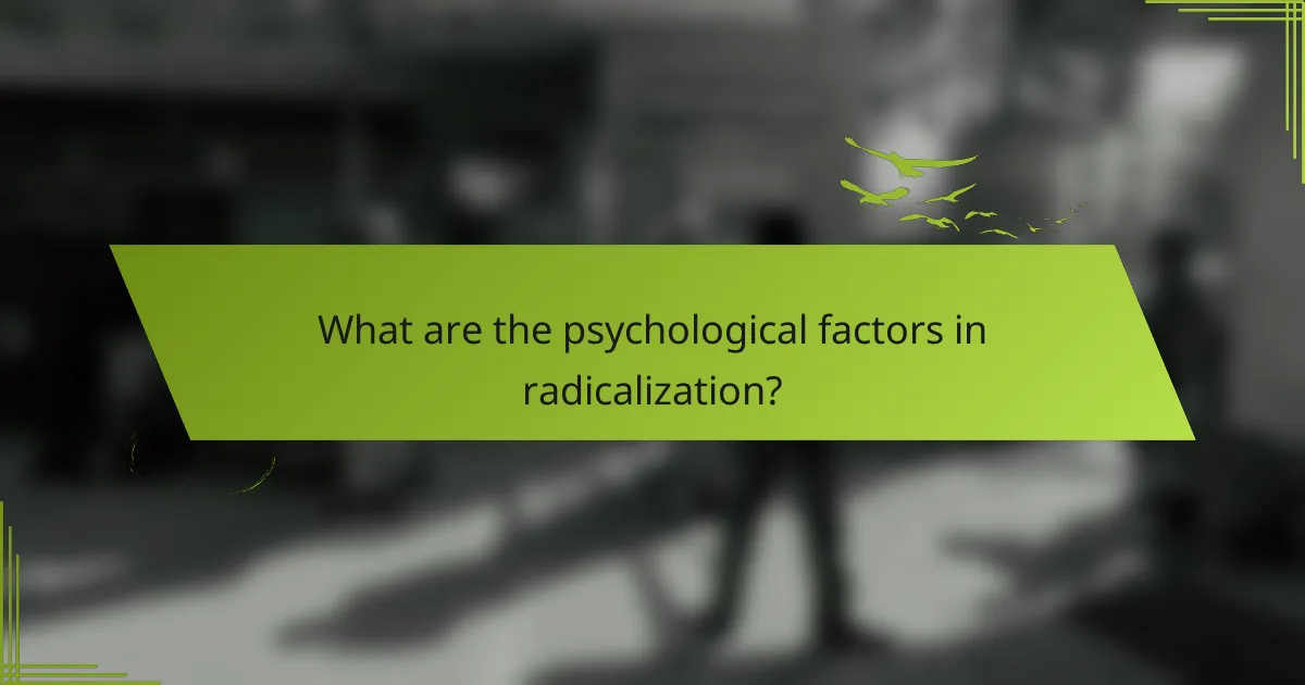 What are the psychological factors in radicalization?