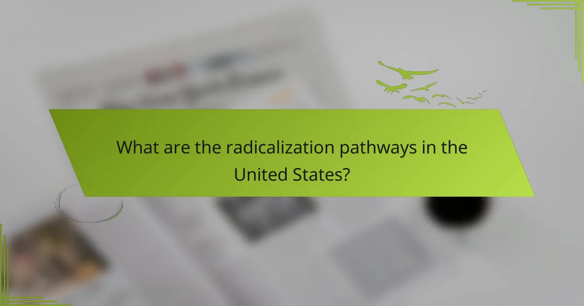 What are the radicalization pathways in the United States?
