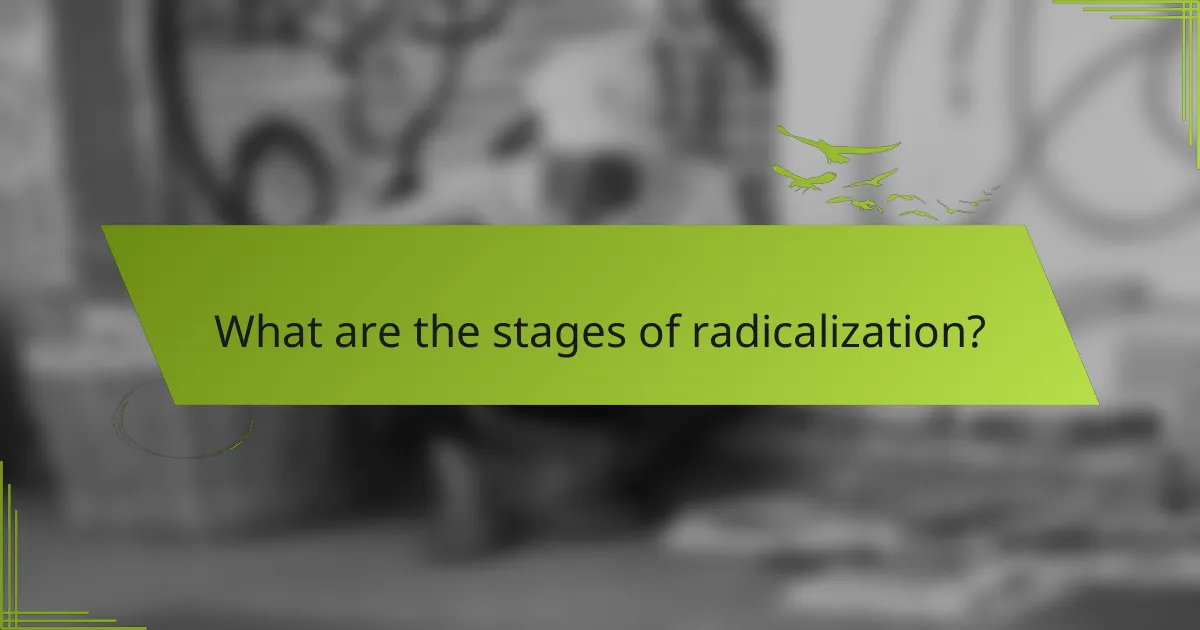 What are the stages of radicalization?