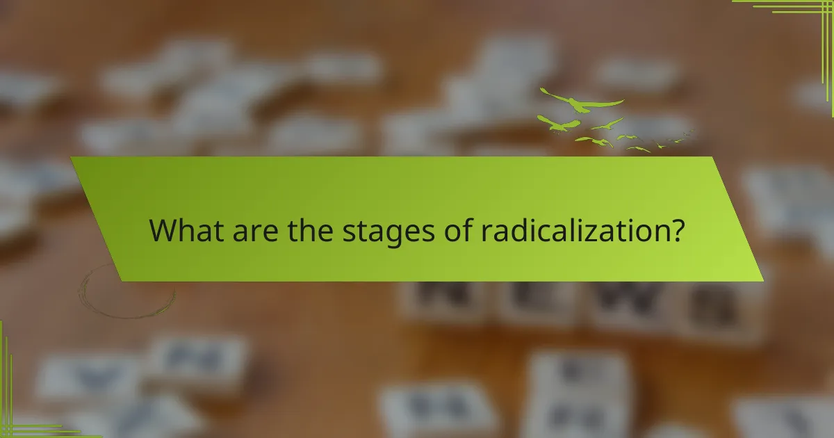 What are the stages of radicalization?
