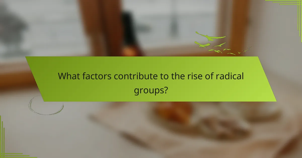 What factors contribute to the rise of radical groups?