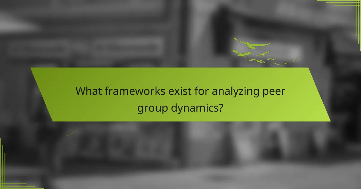 What frameworks exist for analyzing peer group dynamics?