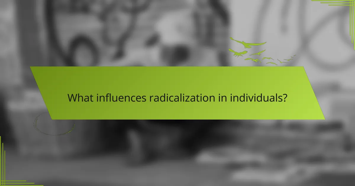 What influences radicalization in individuals?
