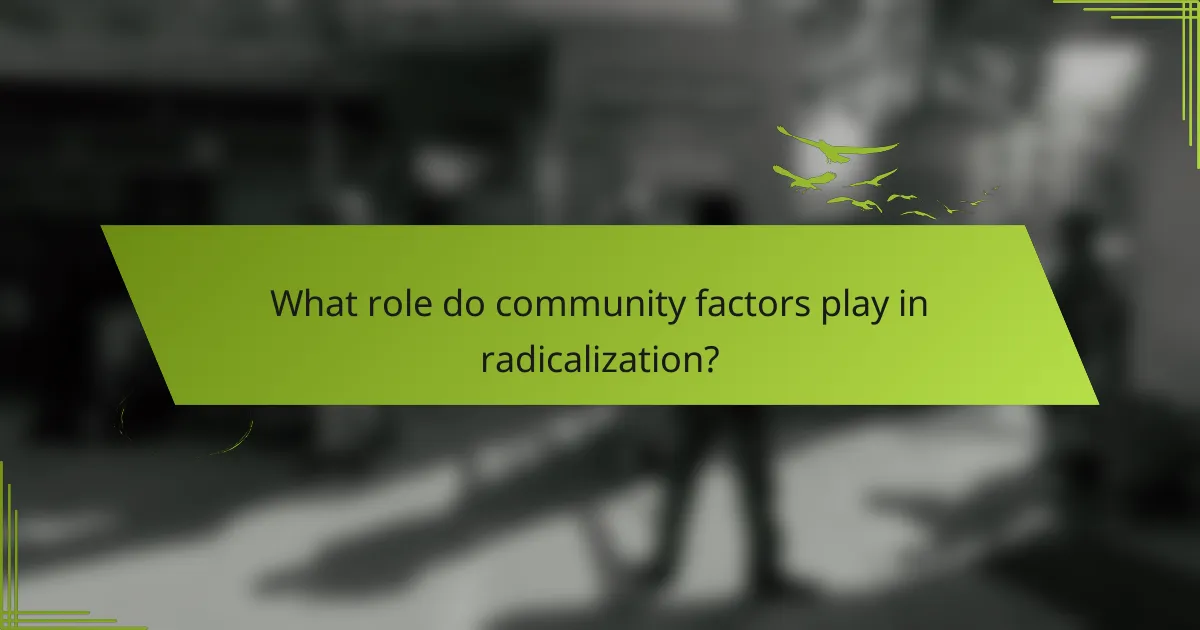 What role do community factors play in radicalization?