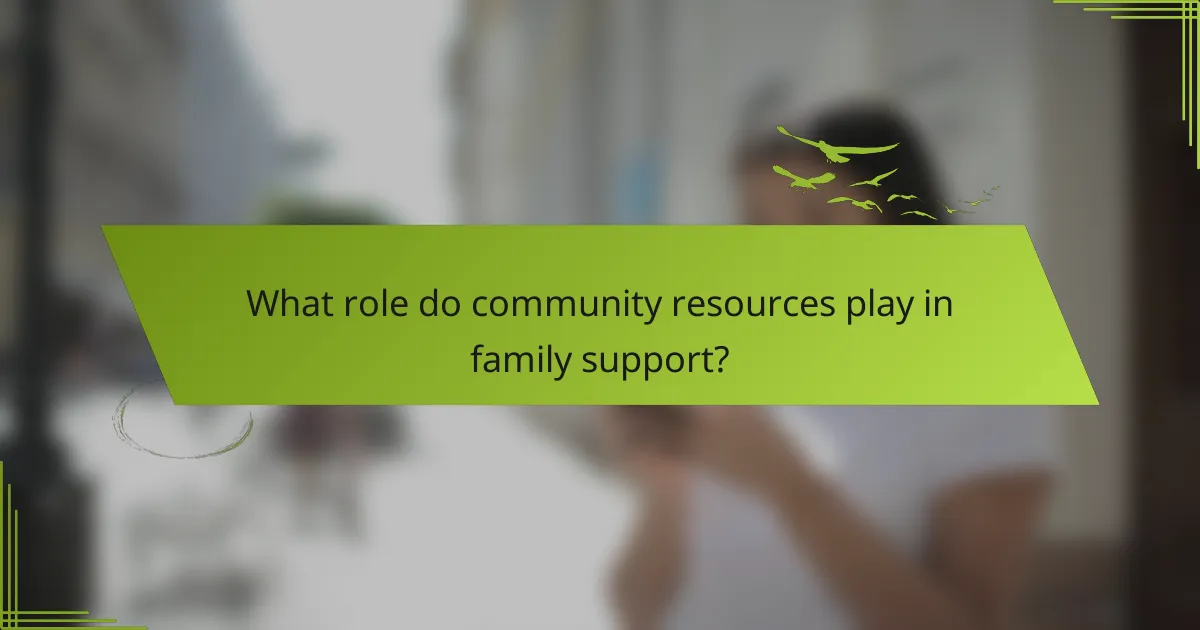 What role do community resources play in family support?