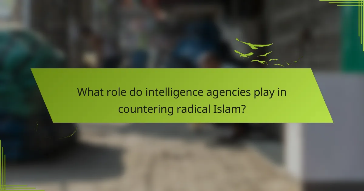 What role do intelligence agencies play in countering radical Islam?