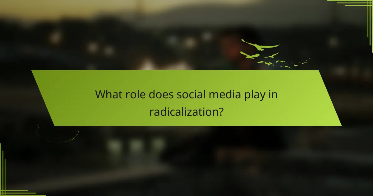 What role does social media play in radicalization?